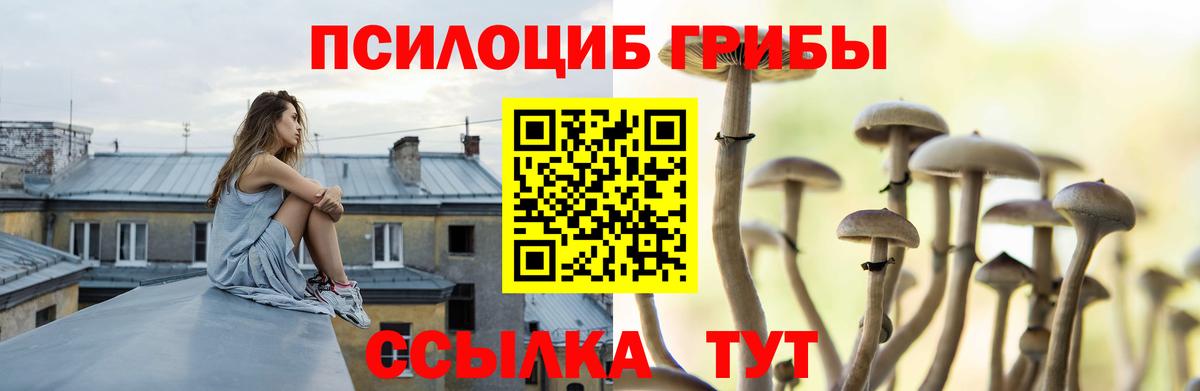 Галлюциногенные грибы прущие грибы  Вход с VPN  Можайск 